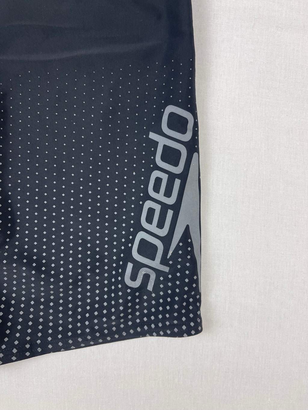 Speedo Swimming Trunks