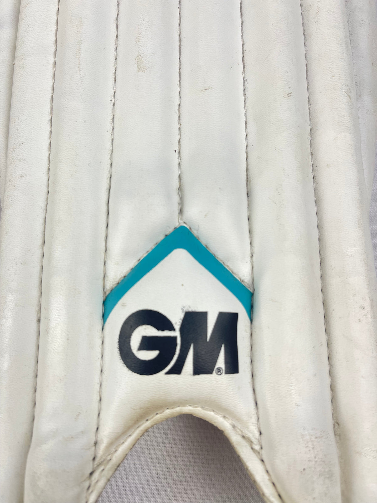 GM 202 Junior Cricket Pads