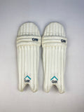 GM 202 Junior Cricket Pads