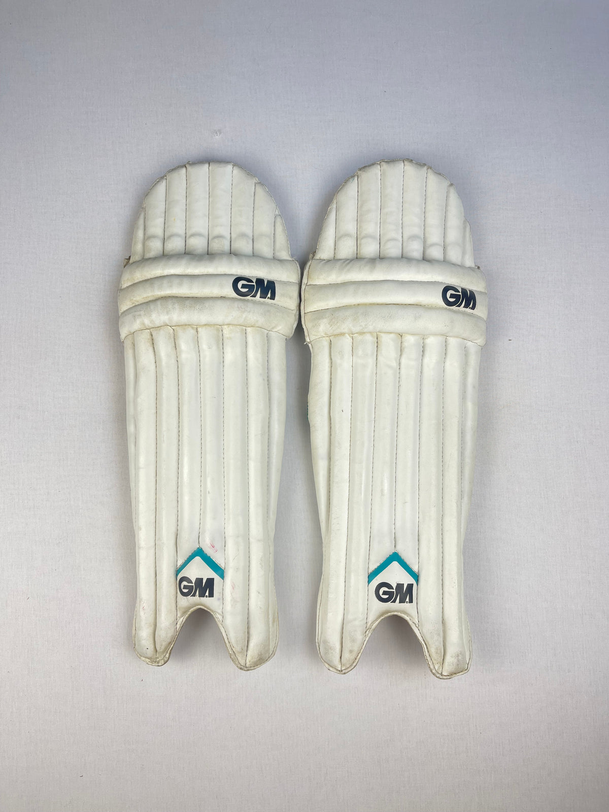 GM 202 Junior Cricket Pads