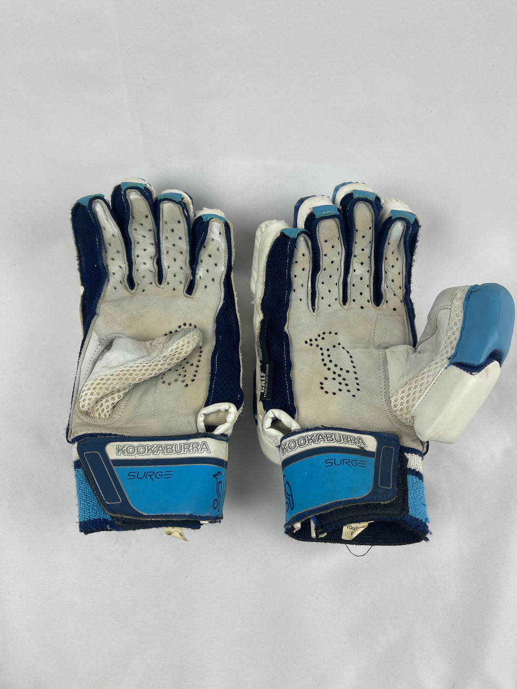 Kookaburra Surge Adult Cricket Gloves