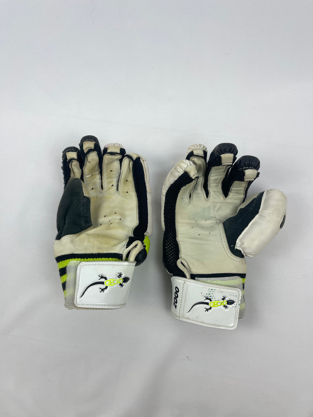 Gecko Youth Pro Tec 2000 Cricket Gloves