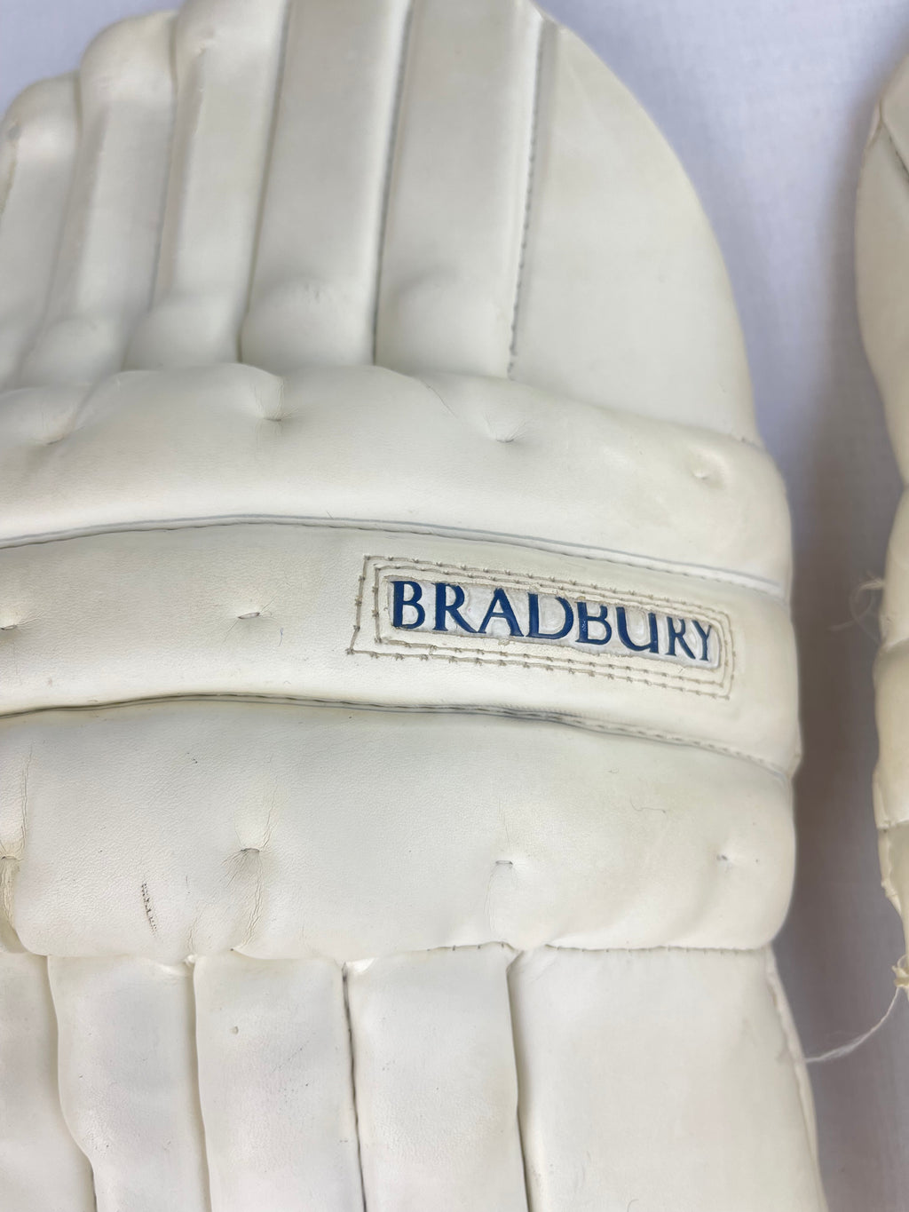 Bradbury Senior Arion Cricket Pads