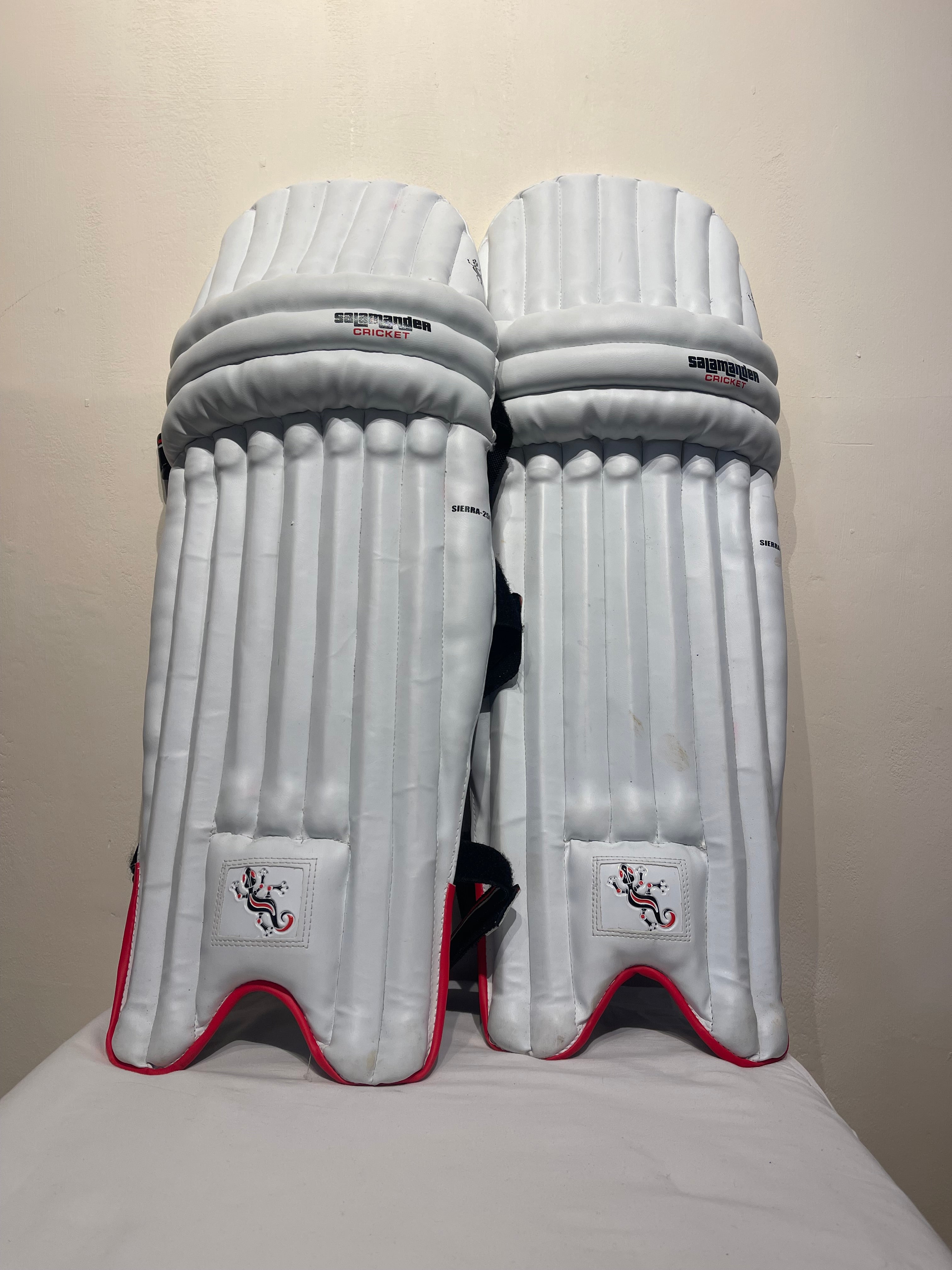 Salamander Sierra 250 Cricket Pads
