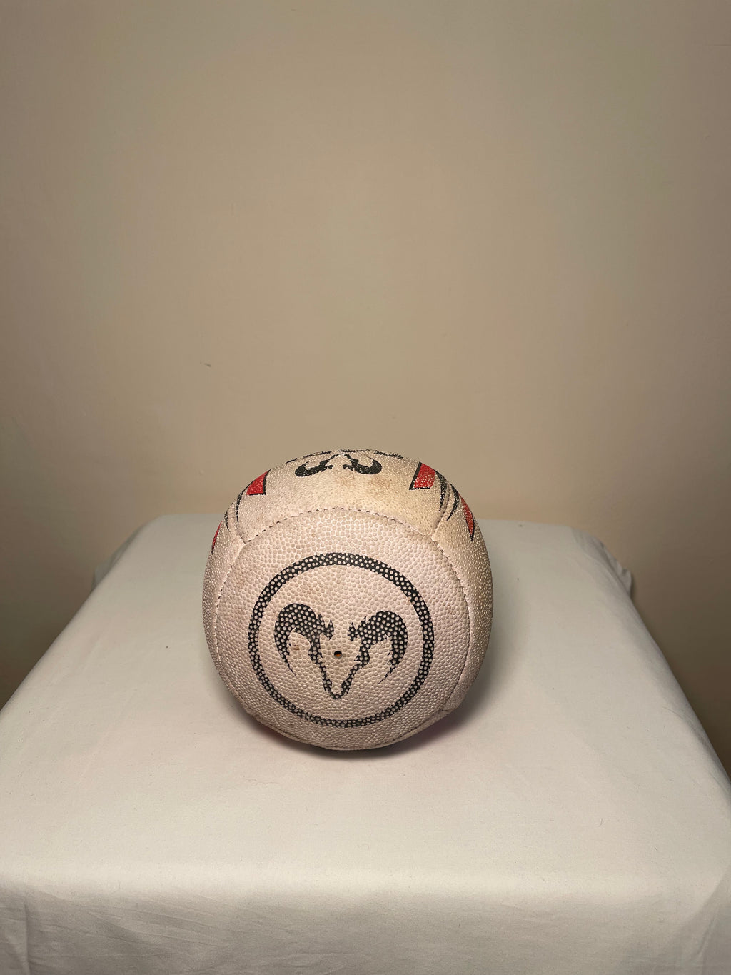 Rugby Passing Trainer Ball