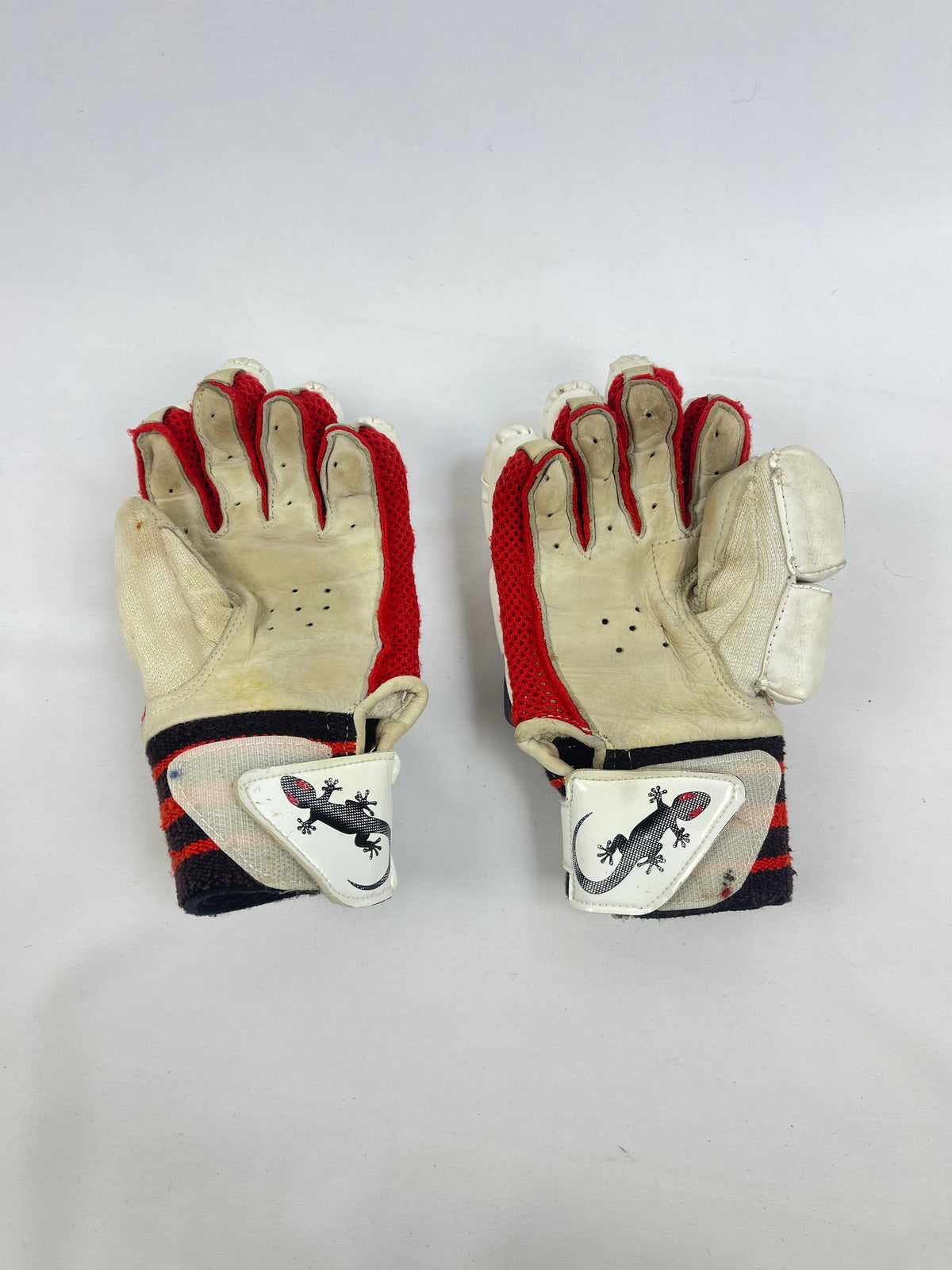 Gecko Youth Suras Cricket Gloves