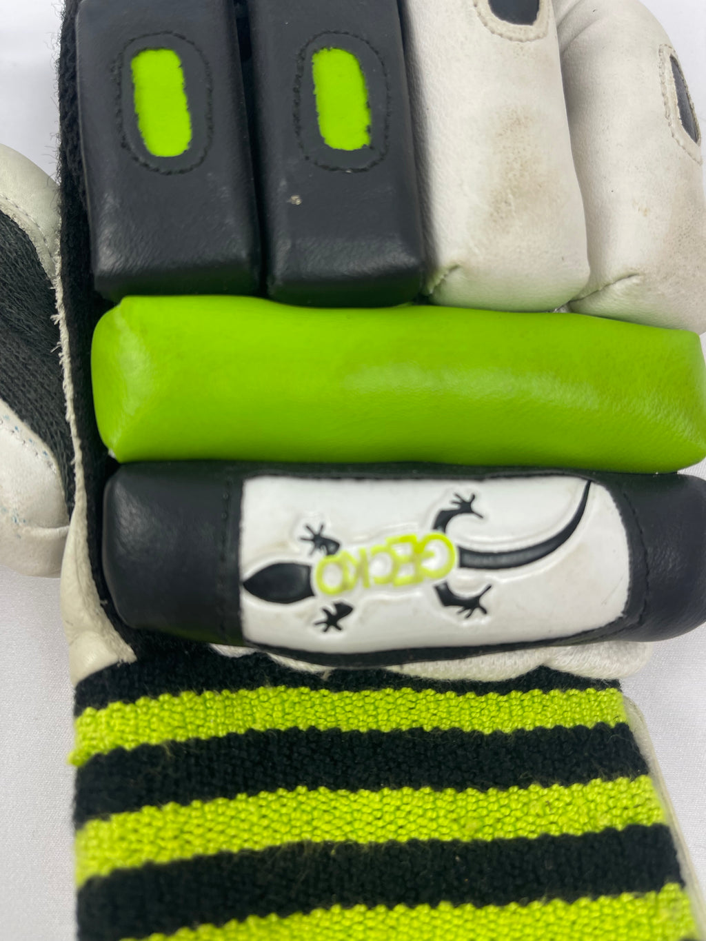 Gecko Youth Pro Tec 2000 Cricket Gloves