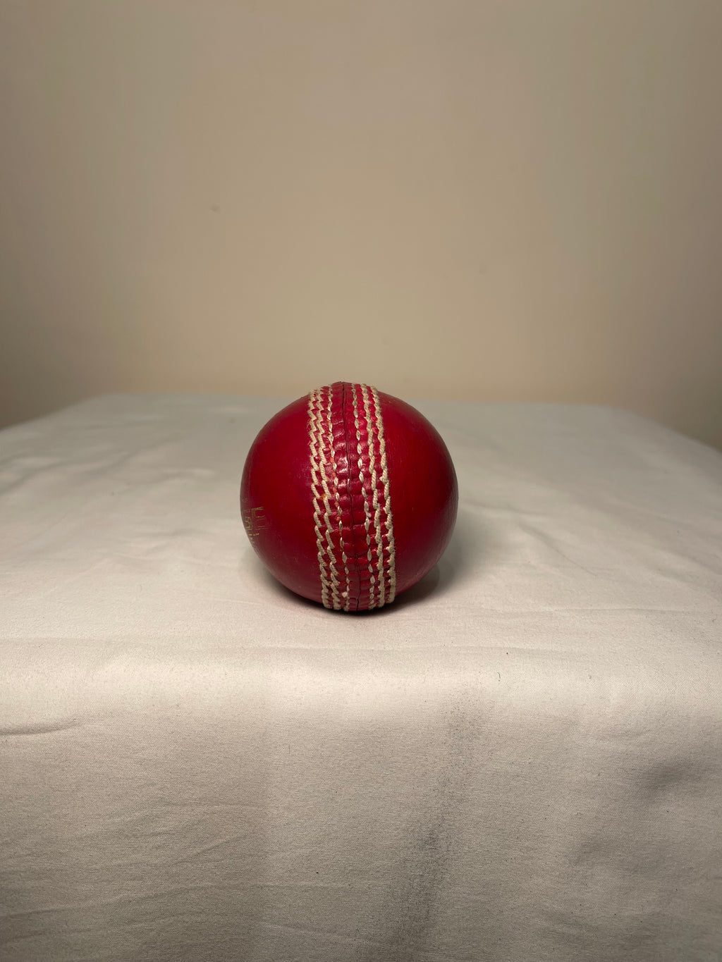 Chase Cricket Ball