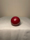 Chase Cricket Ball
