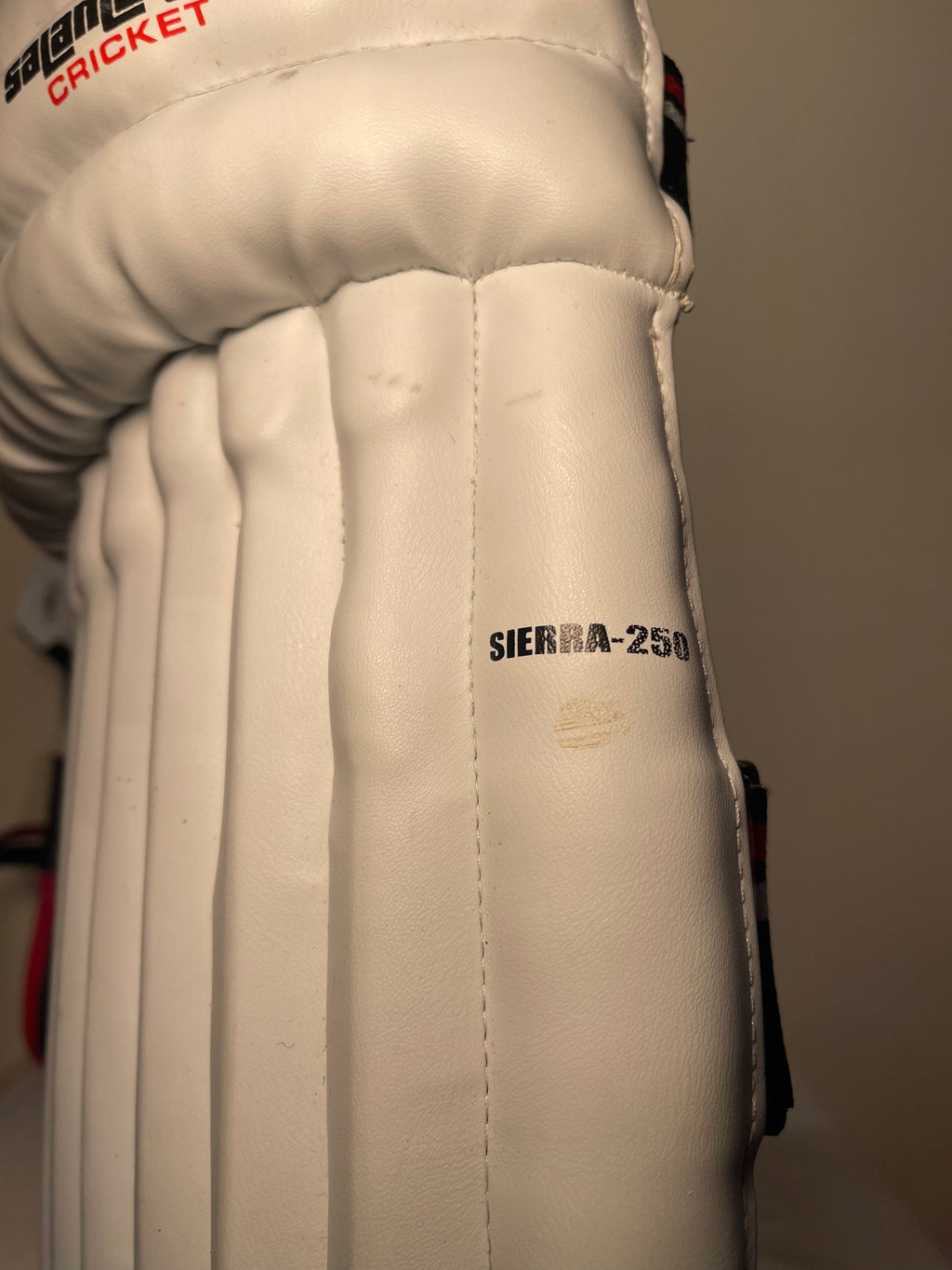 Salamander Sierra 250 Cricket Pads