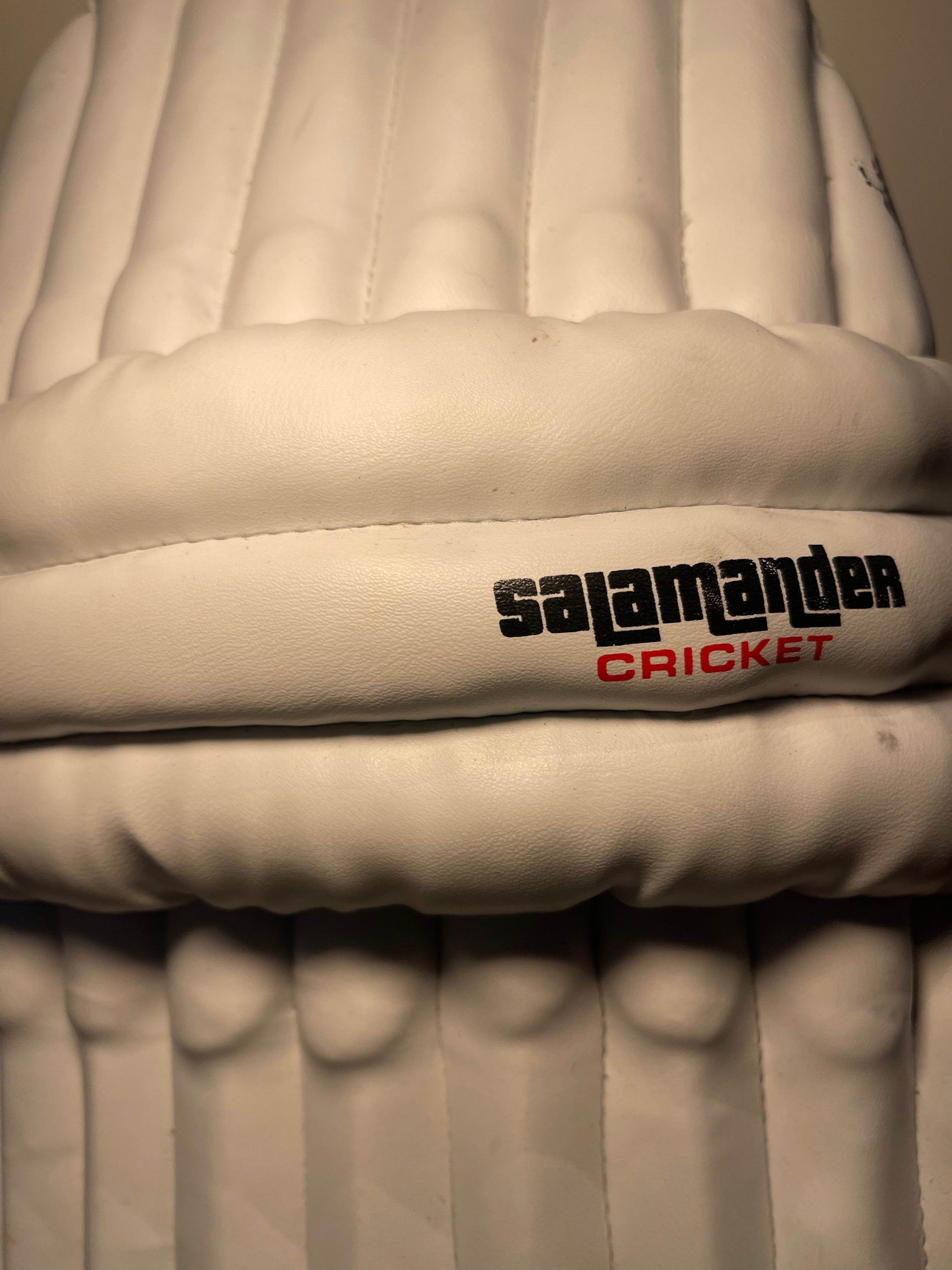 Salamander Sierra 250 Cricket Pads