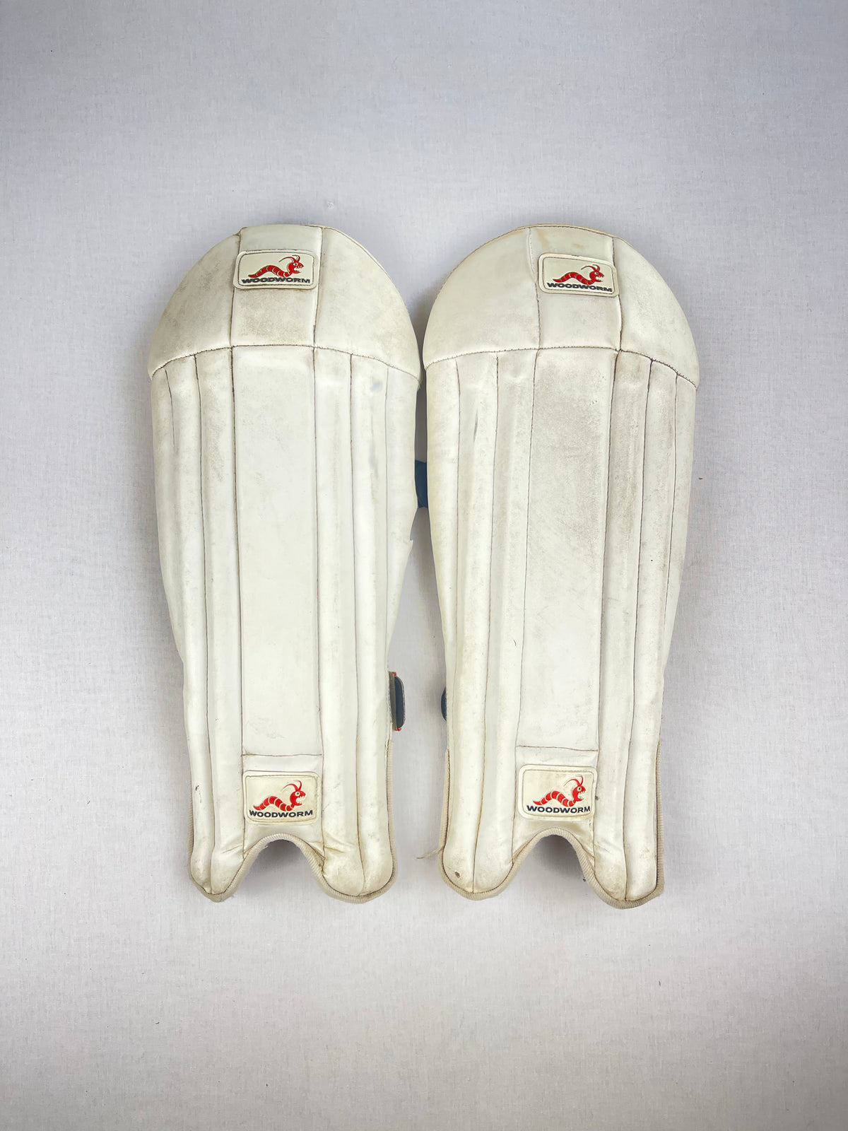 Woodworm Junior Cricket Pads