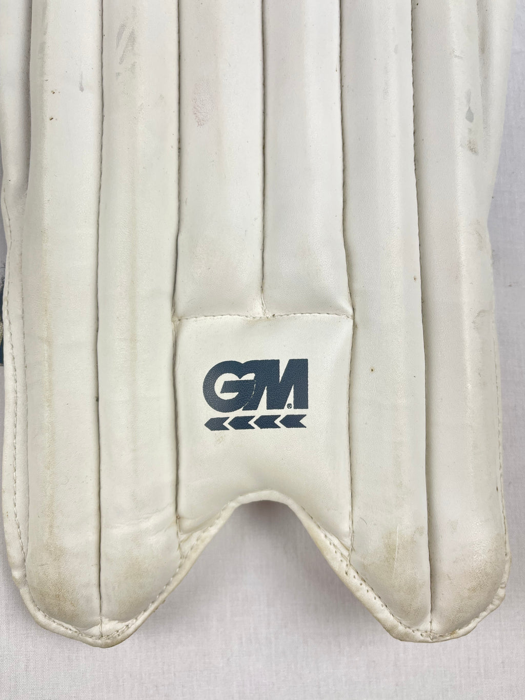 GM 303 Youth Cricket Pads