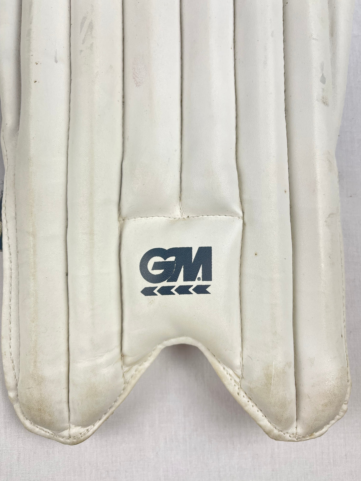 GM 303 Youth Cricket Pads