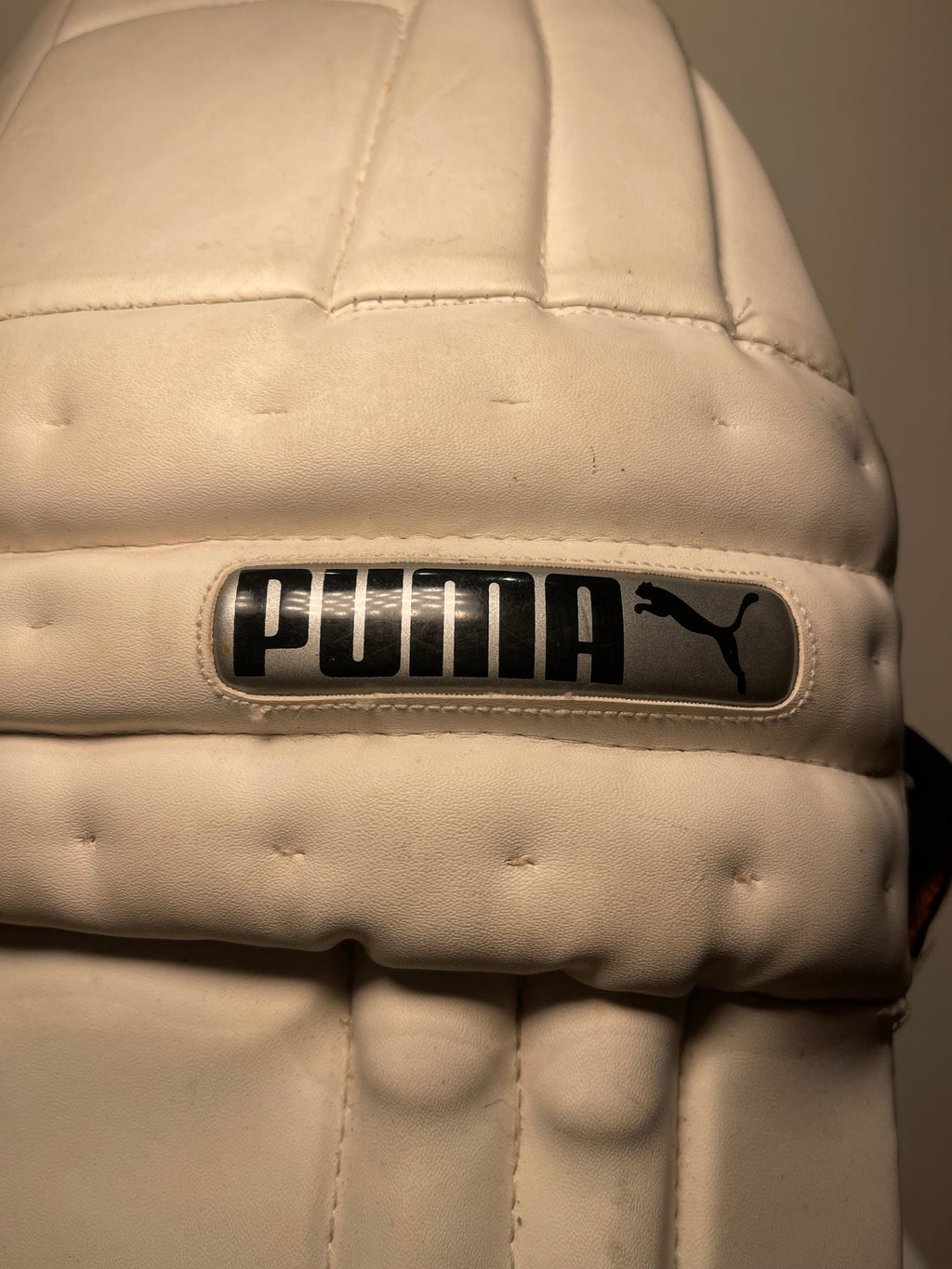 Puma Classic 3000 Cricket Leg Pads