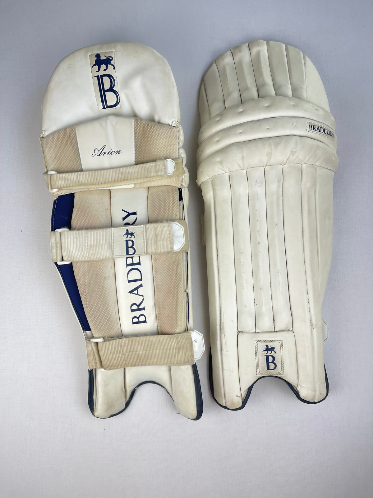 Bradbury Senior Arion Cricket Pads