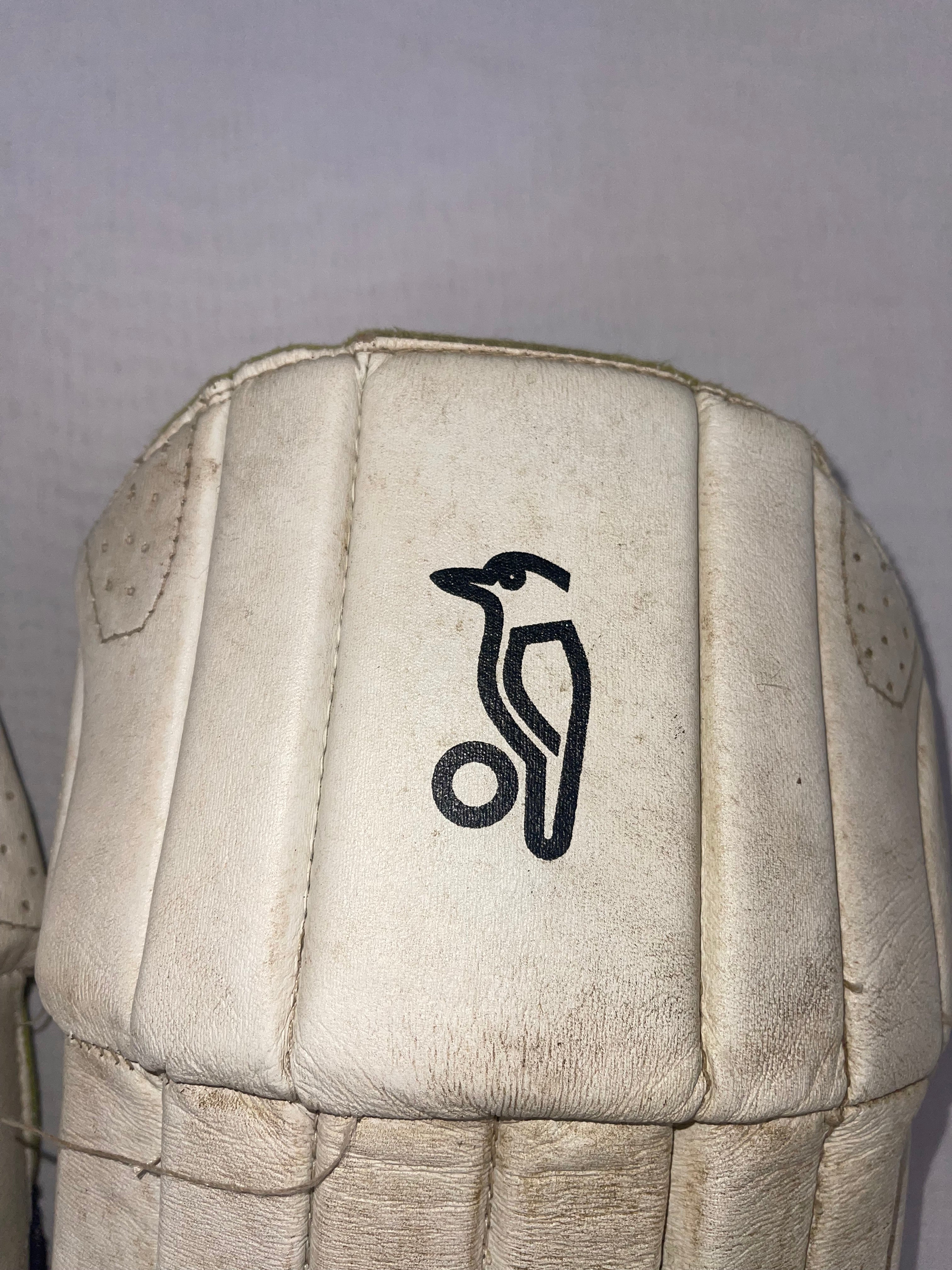 Kookaburra Cricket Pads