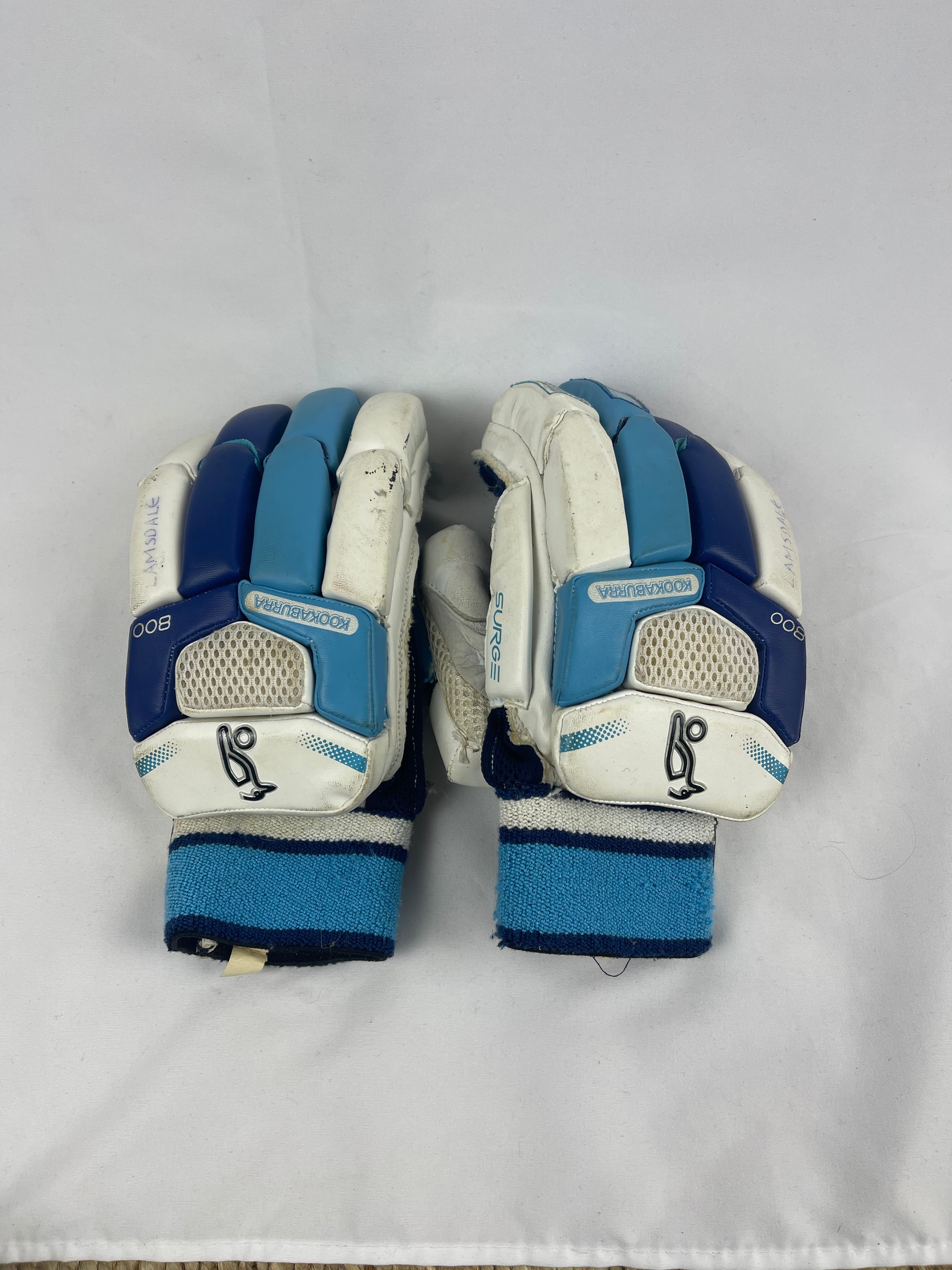 Kookaburra Surge Adult Cricket Gloves