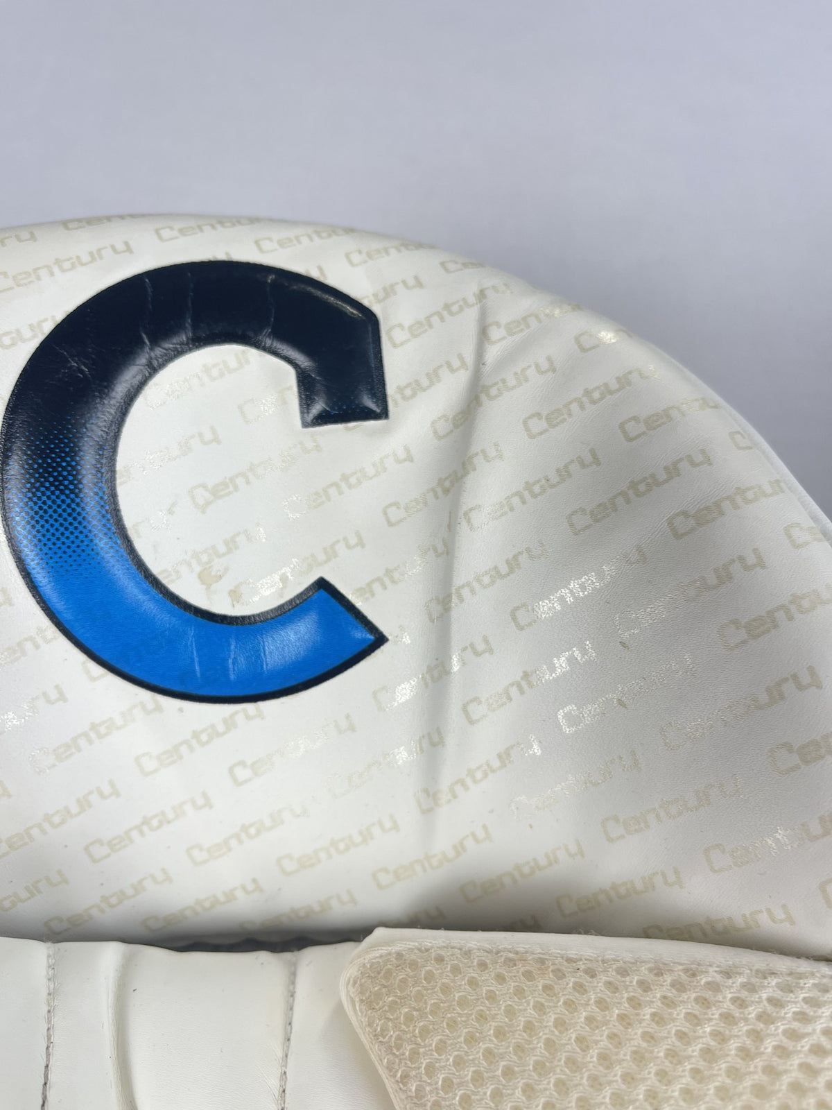 Century logo close-up