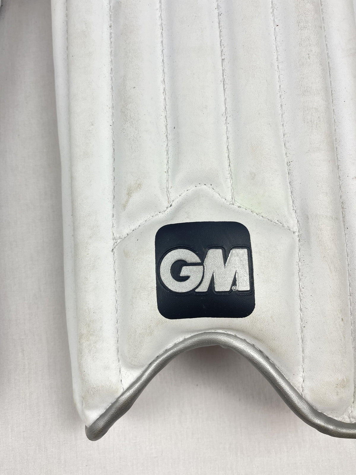 GM logo