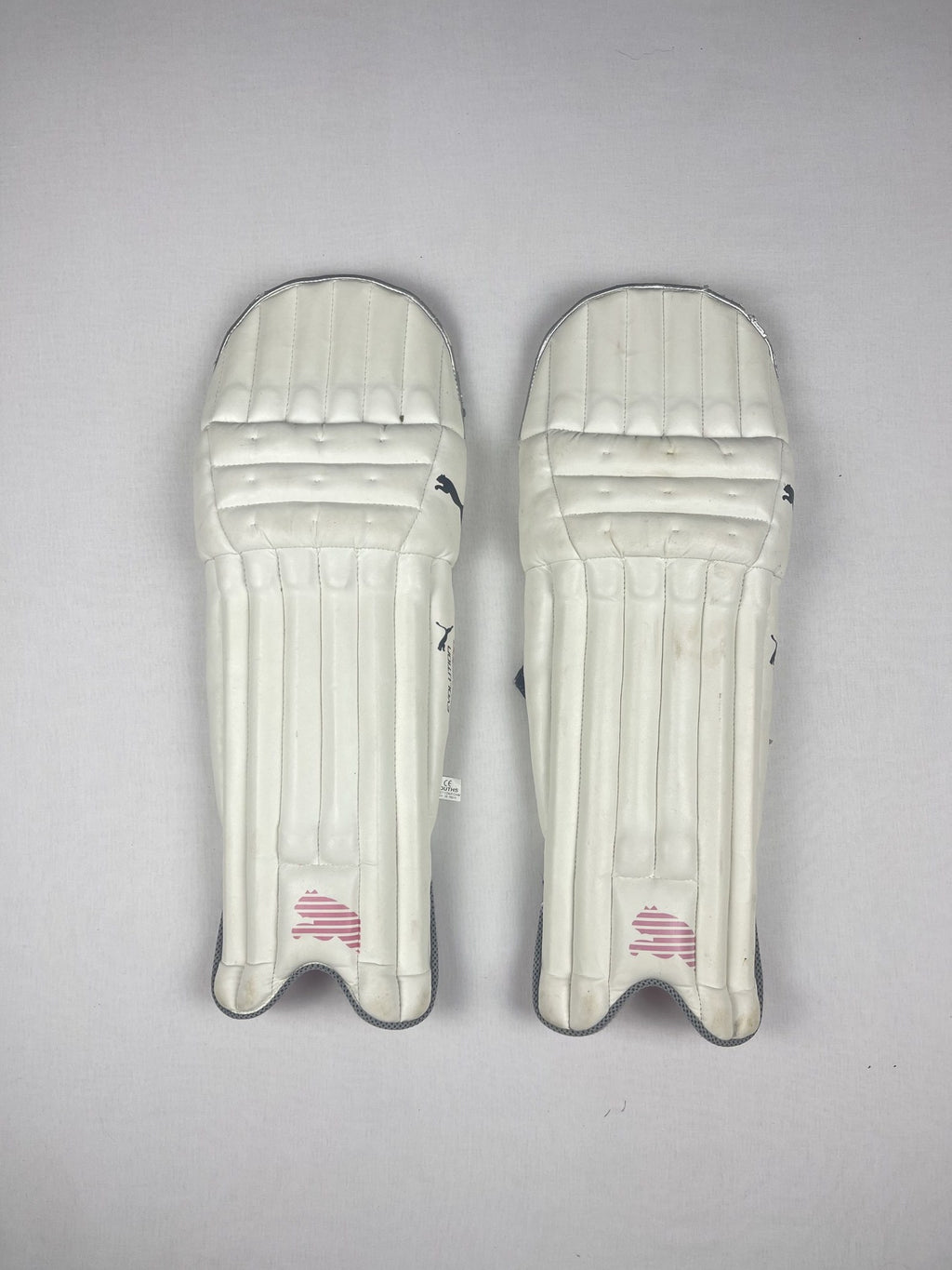 Puma Evolution 3000 Youth Cricket Batting Pads