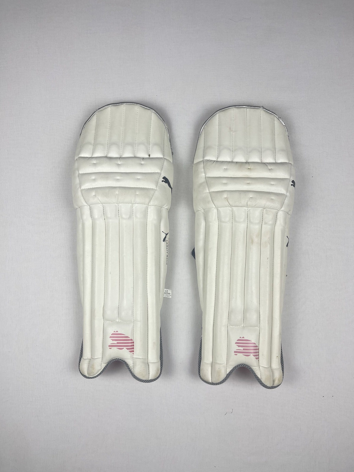 Puma Evolution 3000 Youth Cricket Batting Pads
