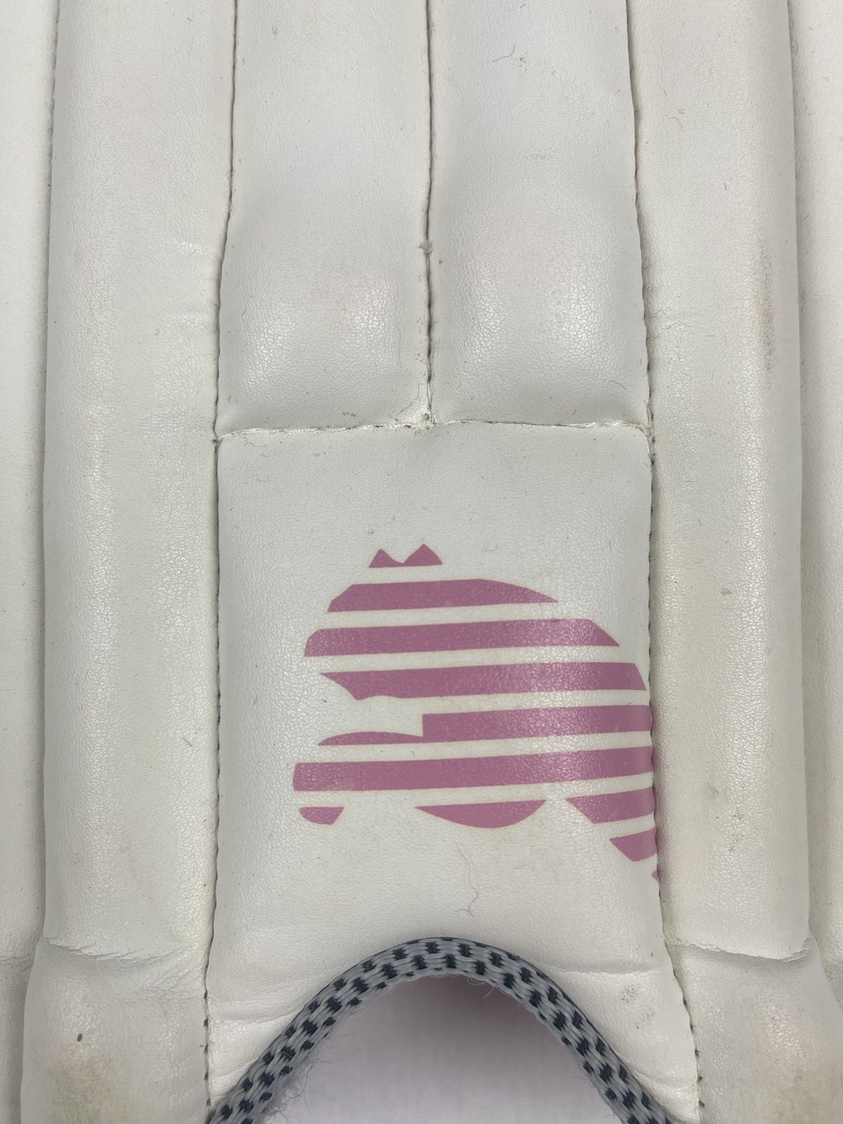 Puma Evolution 3000 Youth Cricket Batting Pads