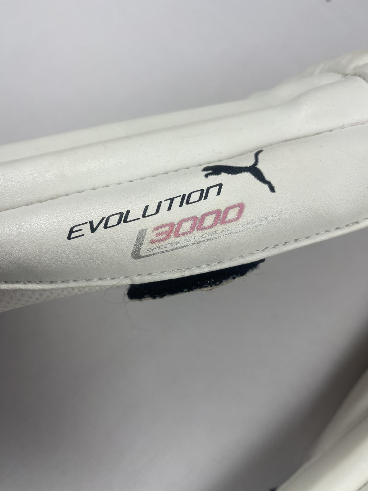 Puma Evolution 3000 Youth Cricket Batting Pads